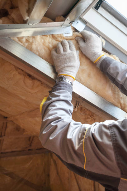 Best Commercial Insulation Services  in Hazel Crest, IL