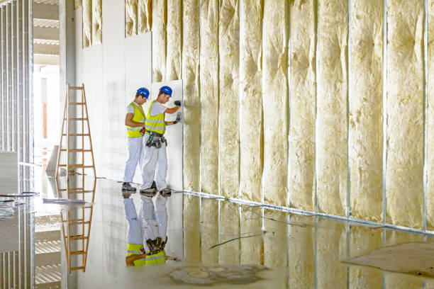 Best Eco-Friendly or Green Insulation Solutions  in Hazel Crest, IL